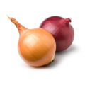 Red Onion Best Quality Cheap Price For Sale